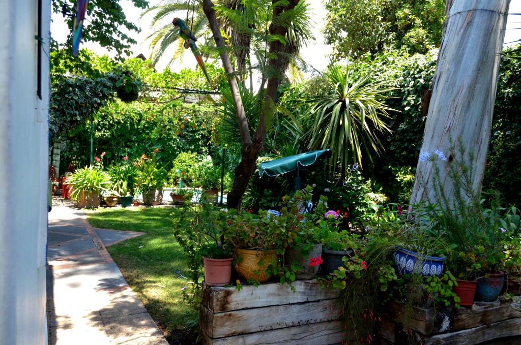 Casa Muriel Santiago Buitenkant foto